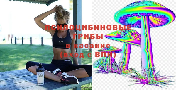 прущая мука Протвино