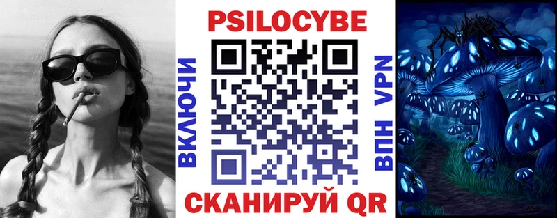 Псилоцибиновые грибы Magic Shrooms  shop какой сайт  Гвардейск 